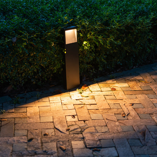 Garden Lights