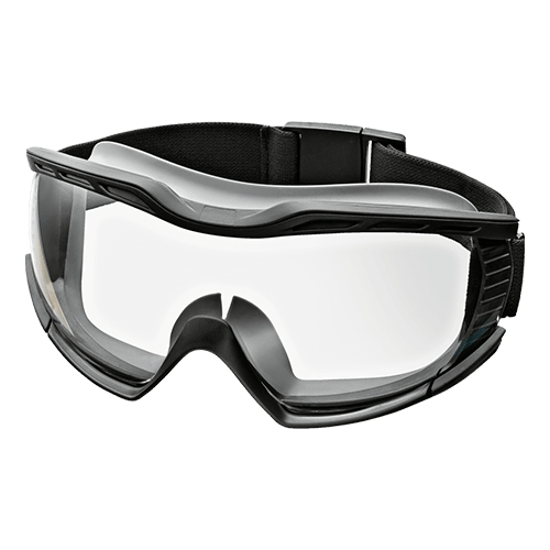 Goggle