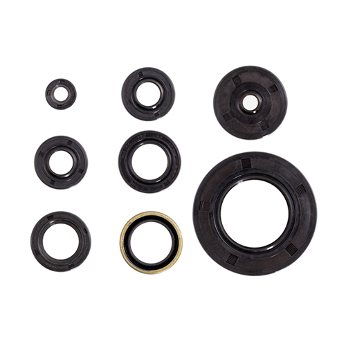 Oil Seals