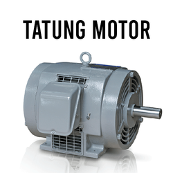 Tatung Motor