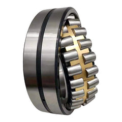 Ball & Roller Bearings