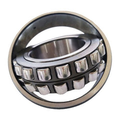 Ball & Roller Bearings
