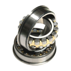 Ball & Roller Bearings