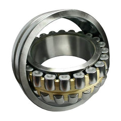 Ball & Roller Bearings