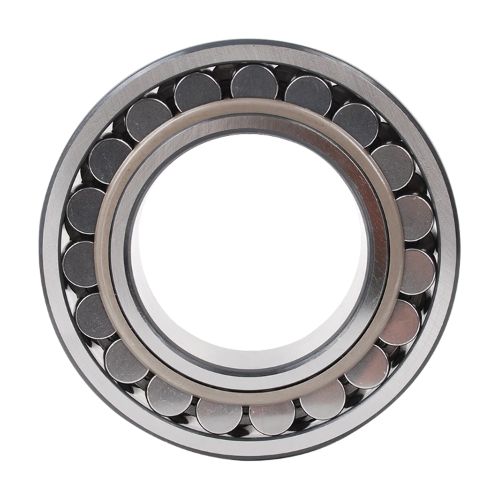 Ball & Roller Bearings