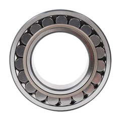 Ball & Roller Bearings