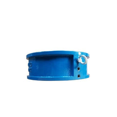 Check Valve