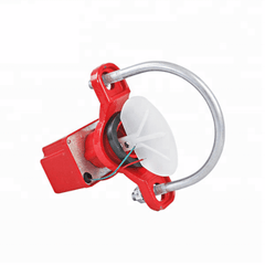 Flow Switch