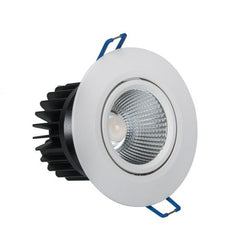 LED Down Light