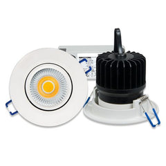 LED Down Light