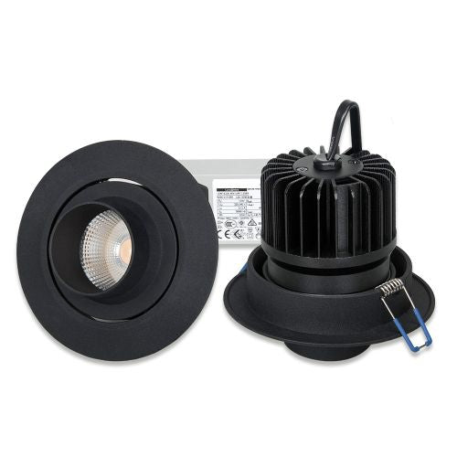LED Down Light