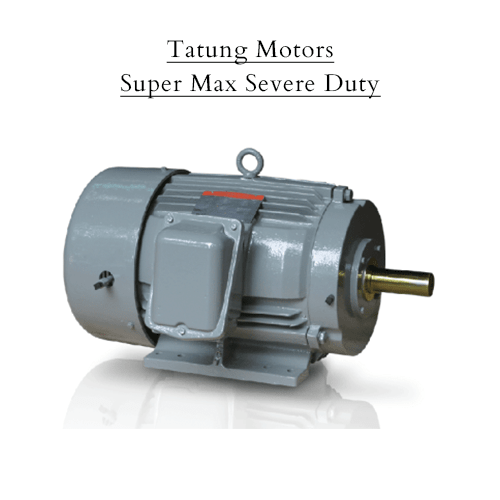 Tatung Motors Super Max Severe Duty