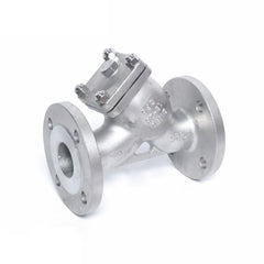 Y-Strainer