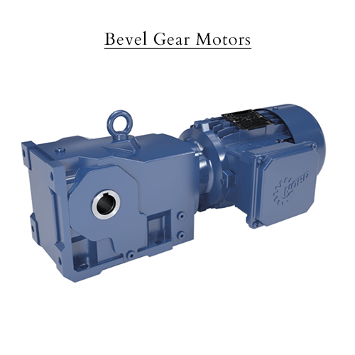Bevel Gear Motors
