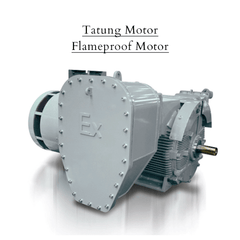 Tatung Motor Flameproof Motor