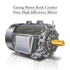 Tatung Motor Rock Crusher Duty High Efficiency Motor