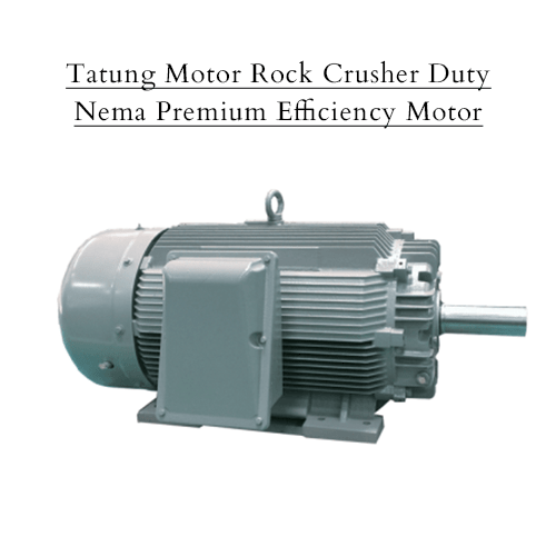 Tatung Motor Rock Crusher Duty Nema Premium Efficiency Motor