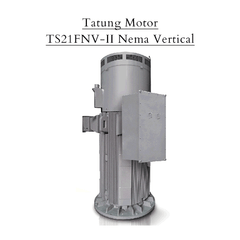 Tatung Motor TS21FNV-II Nema Vertical