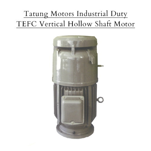 Tatung Motors Industrial Duty TEFC Vertical Hollow Shaft Motor
