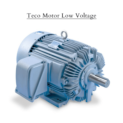 Teco Motor Low Voltage