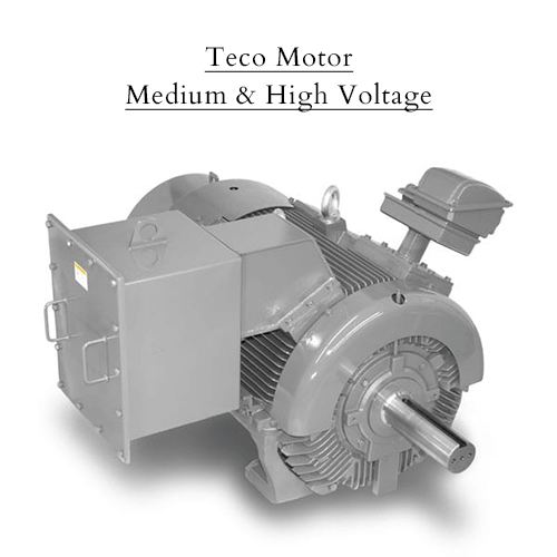 Teco Motor Medium & High Voltage