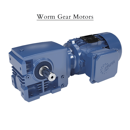 Worm Gear Motors